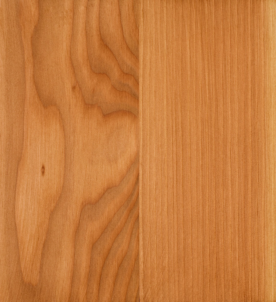 Grassland Beige