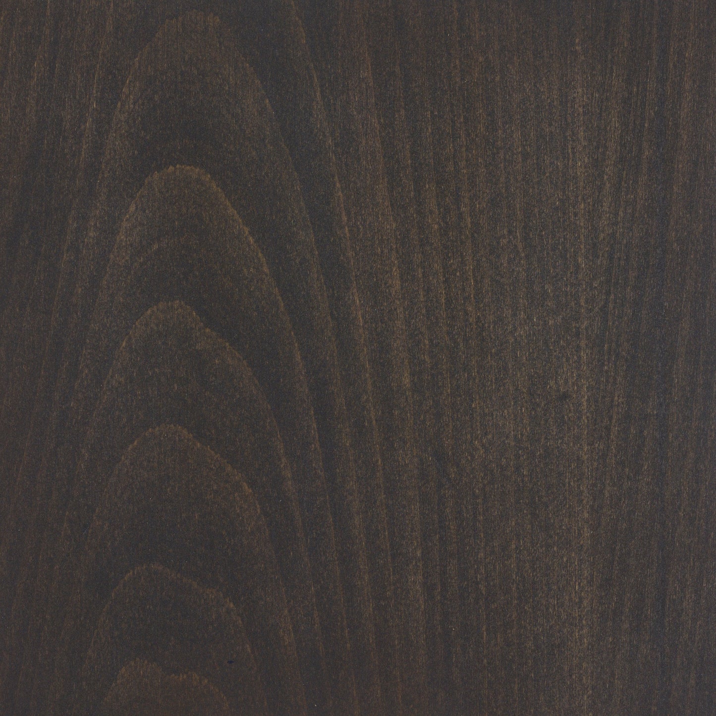 Beech