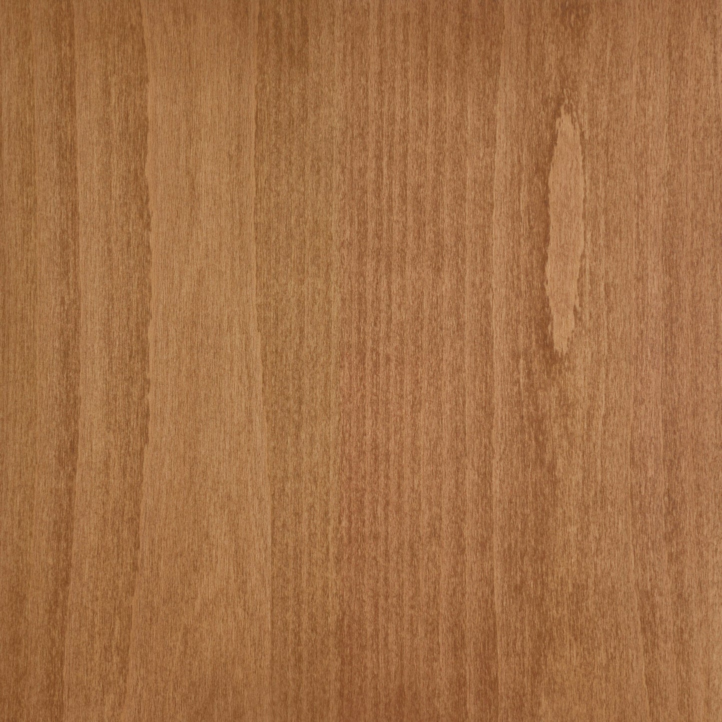 Beech