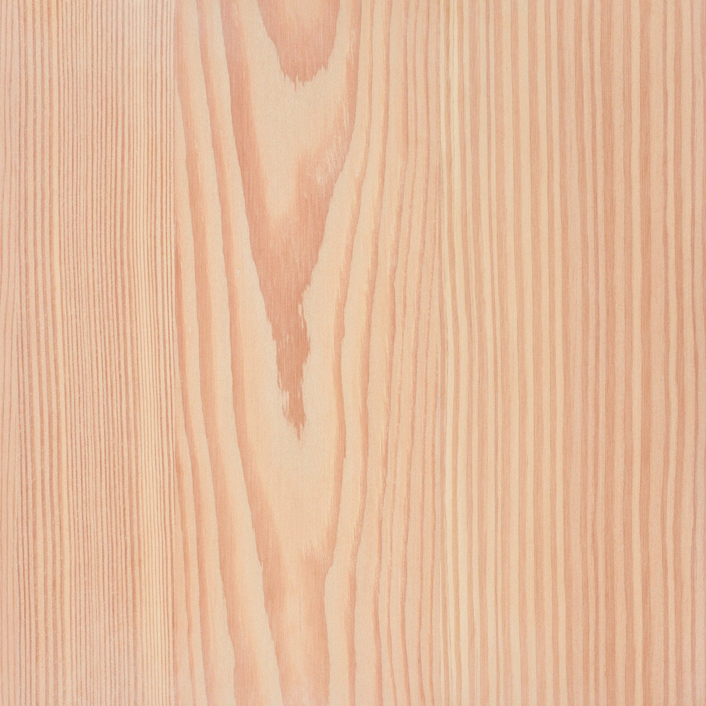 Larch