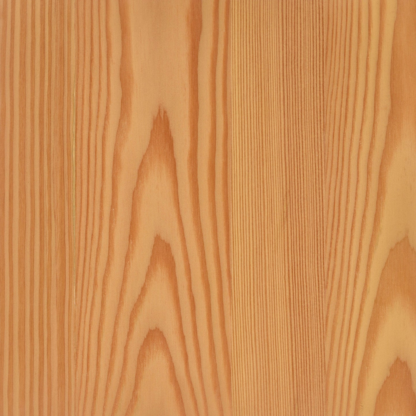 Larch