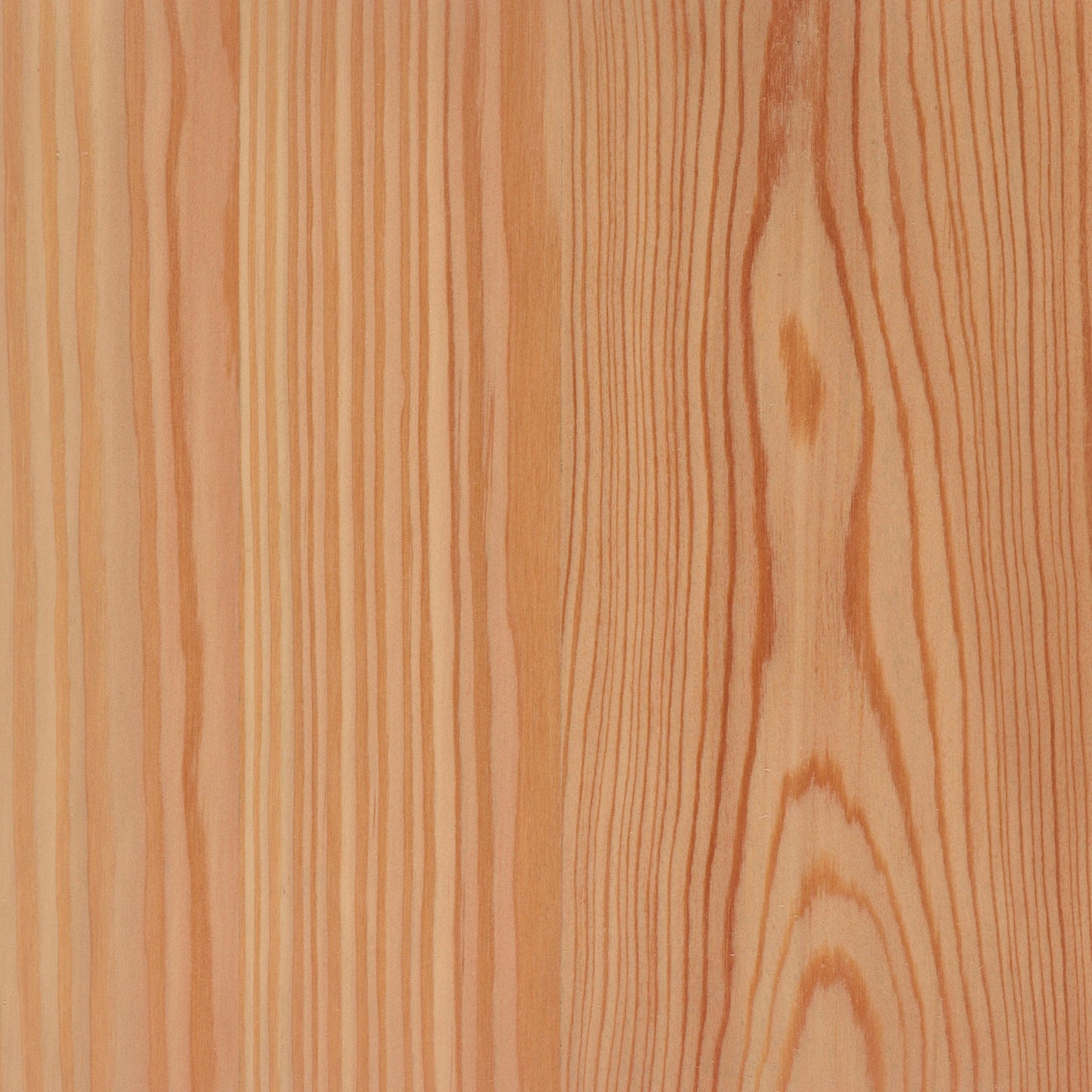 Larch