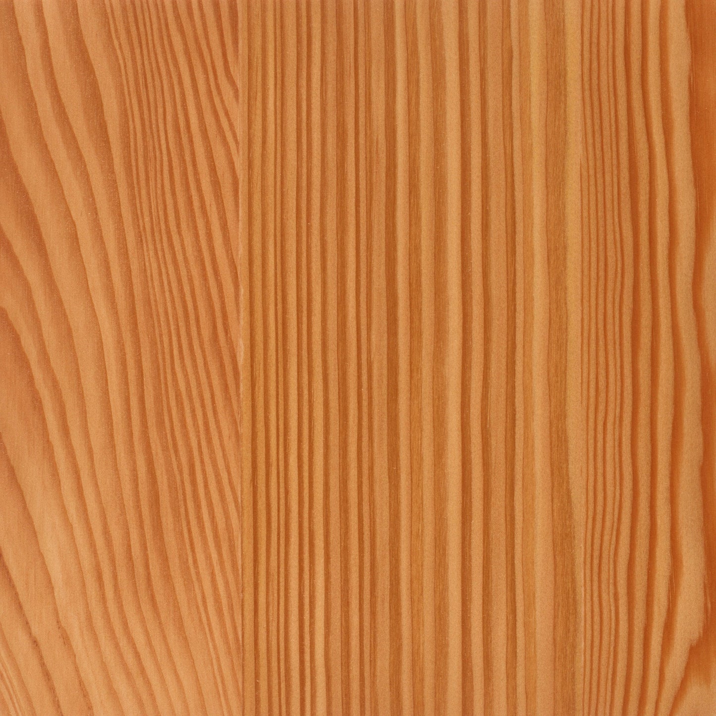 Larch